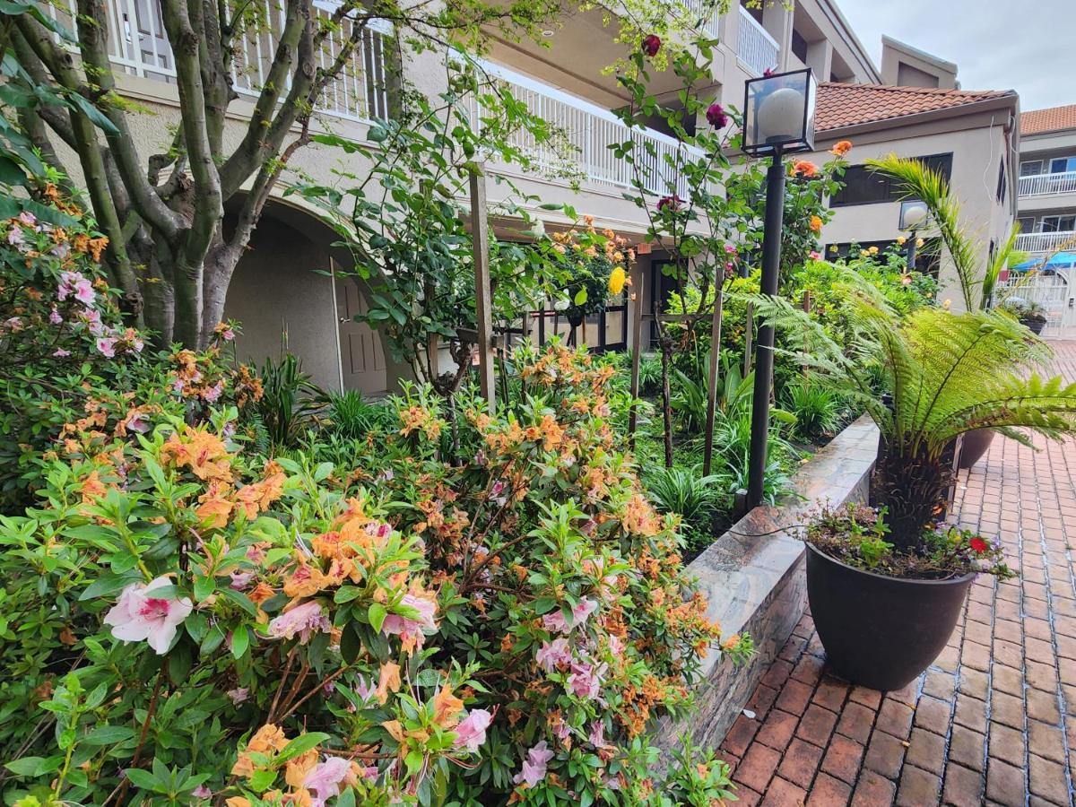 La Quinta By Wyndham San Francisco Airport West Hotel Милбрей Екстериор снимка