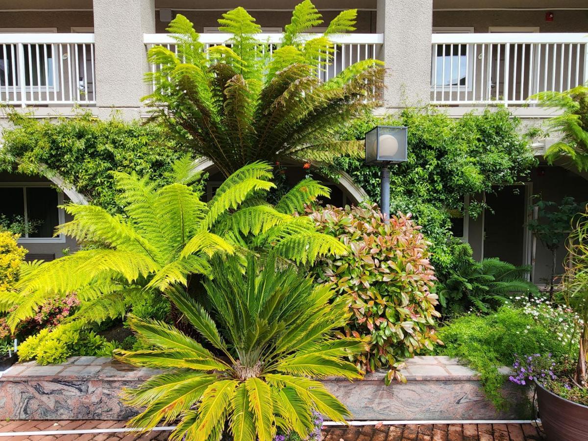 La Quinta By Wyndham San Francisco Airport West Hotel Милбрей Екстериор снимка